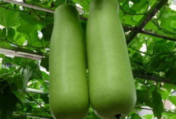 海宁吃瓜爆料公司电话,电话号码背后的秘密